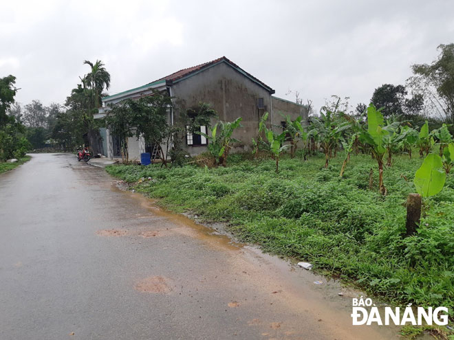Theo UBND huyện Hòa Vang, các công trình xây dựng tạm trên đất nông nghiệp chỉ phục vụ cho mục đích trồng trọt, chăn nuôi. (Ảnh chụp tại thôn Diêu Phong,  xã Hòa Nhơn). Ảnh: Q.T	