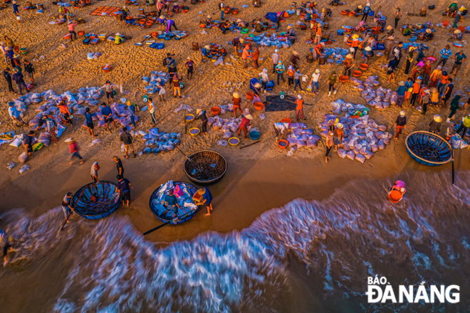  The picturesque image of Binh Minh fish market captured at the crack of dawn