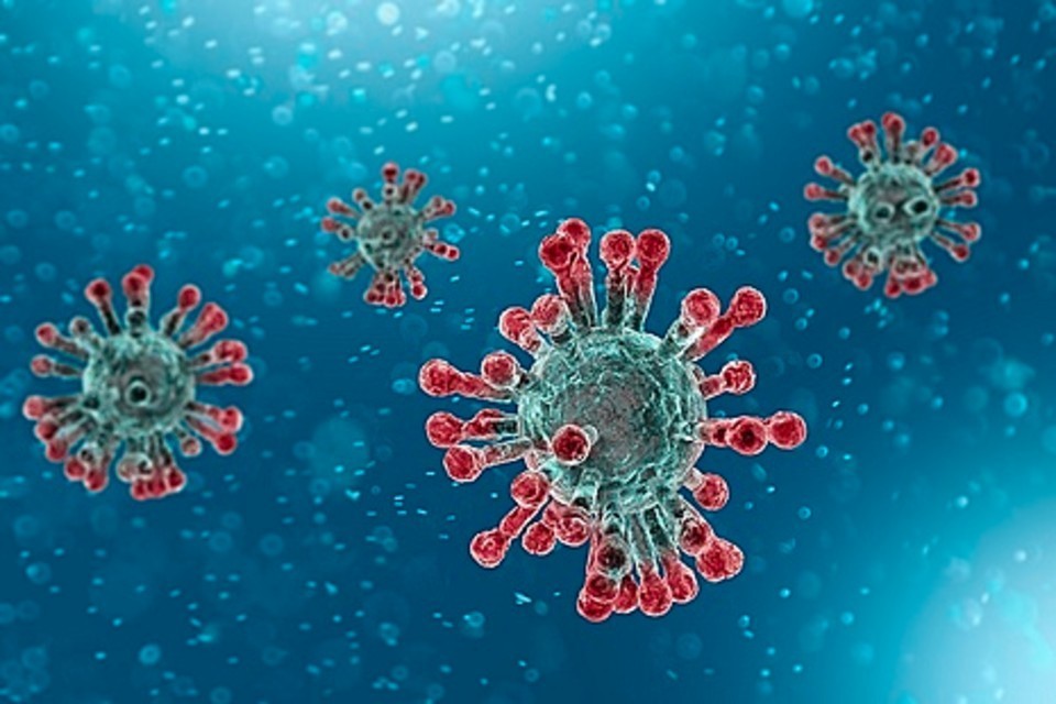 Đã có bằng chứng về sự lây truyền virus SARS-CoV-2 từ người sang động vật. Ảnh minh họa: Gov.uk