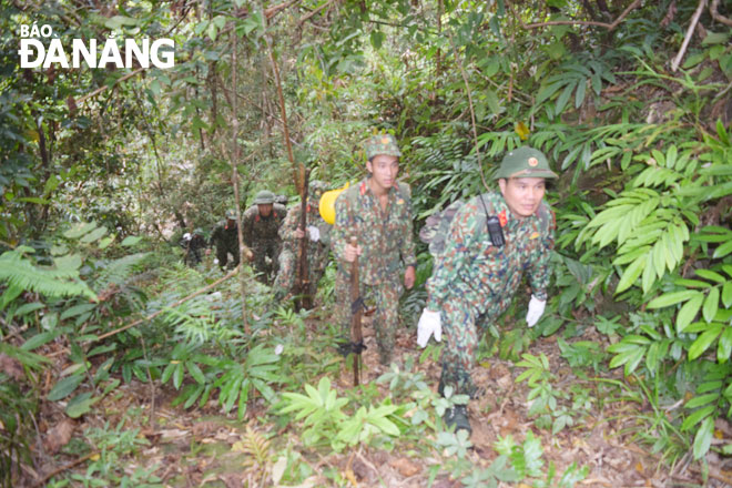 Các lực lượng tuần tra, chốt chặn, bảo vệ rừng Cà Nhông. 