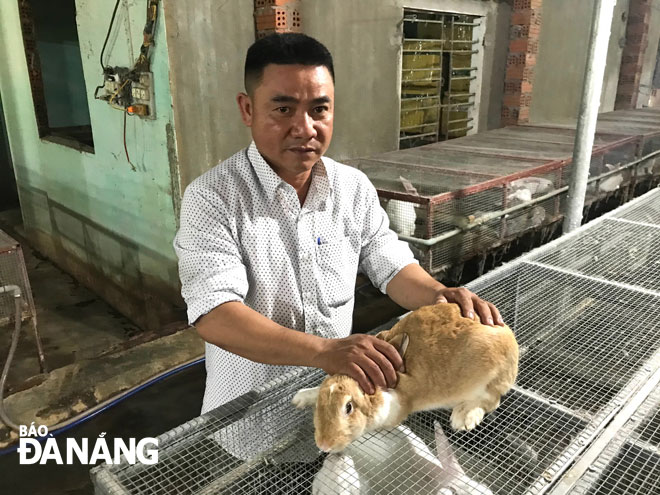 Mô hình nuôi thỏ giúp ông Dương Văn Chính lãi mỗi năm 1,2 tỷ đồng.      						                   Ảnh: M.QUẾ