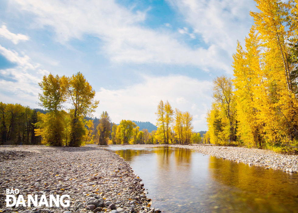 Small streams with overhanging pebbles look like transparent mirrors lying by an autumn forest in the Grand Teton National Park