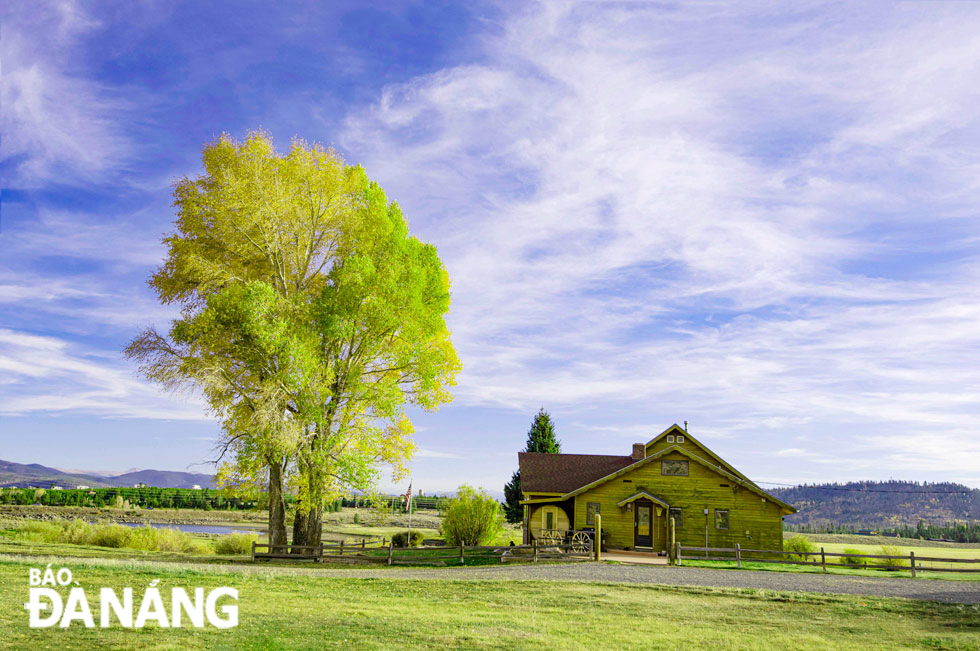 On the way back to Utah, you just see a vast of golden forests and a few residential houses.