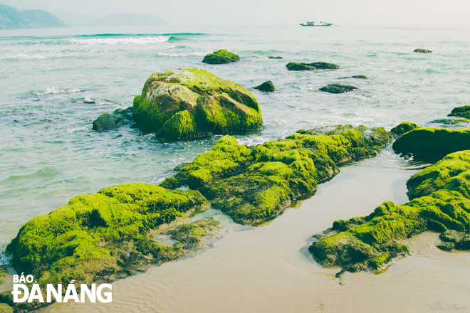 The Nam O rocks impressively coated with the most eye-catching green moss has emerged as a new ‘check-in point’ for both locals and tourists. (Photo: Pham Doan Trieu)