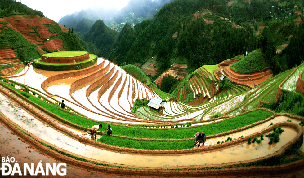 Here is the charming beauty of waterlogged terraces. Compared to the rice harvest season during which terraces shine a golden yellow, the waterlogged ones are no less stunning as they vividly reflect the bright summer sun. Farmers flood the fields soon after the first summer rains and start transplanting rice seedlings for the new crop.