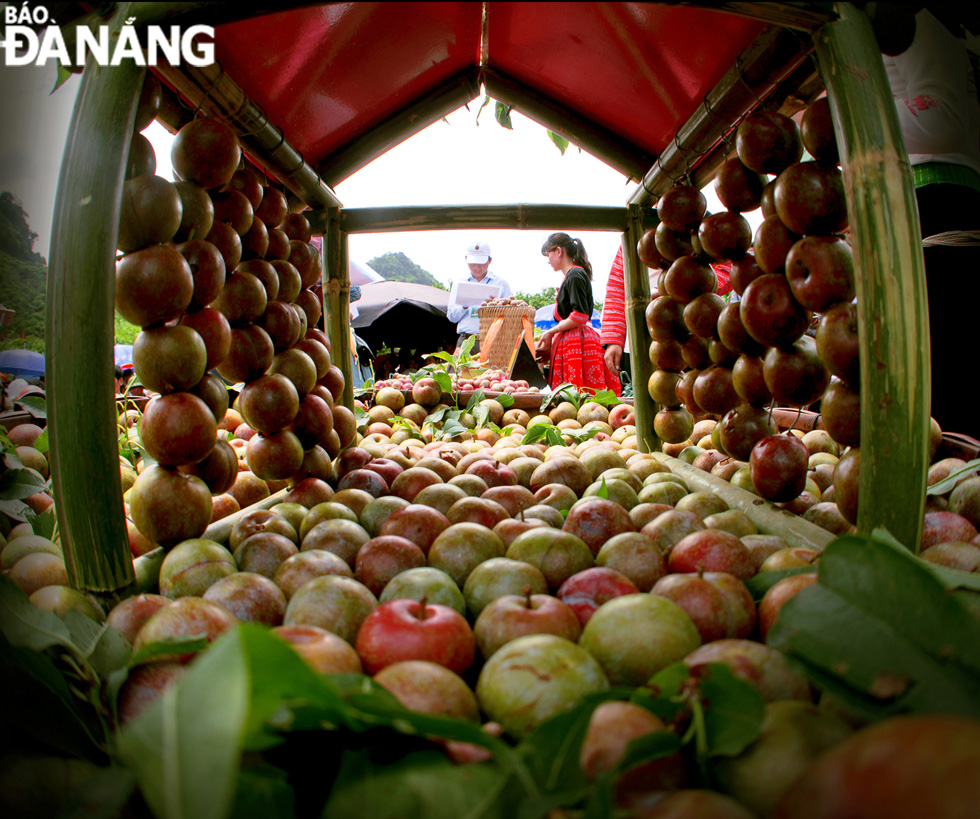  A house model made from fresh plums in Moc Chau District, Son La Province