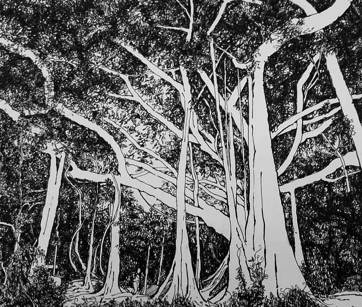 A painting of the thousand-year-old banyan tree on Son Tra Peninsula by Thai Thi Hong Thuy