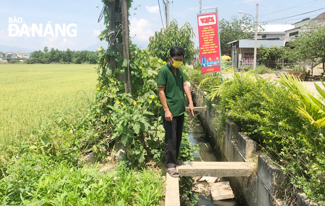Ông Tán Văn Thạnh, Tổ trưởng tổ 4, thôn Bồ Bản, xã Hòa Phong (huyện Hòa Vang) phản ánh tuyến kênh 1B đen kịt, bốc mùi hôi thối gây ảnh hưởng đến khu dân cư. Ảnh: N.QUANG	