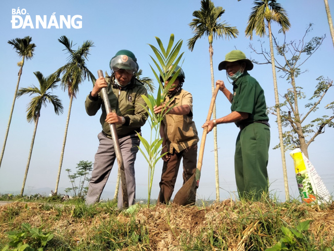Hội viên Hội Cựu chiến binh xã Hòa Khương, huyện Hòa Vang trồng cây xanh tại thôn La Châu, xã Hòa Khương, góp phần xây dựng thành phố môi trường. Ảnh: HOÀNG HIỆP