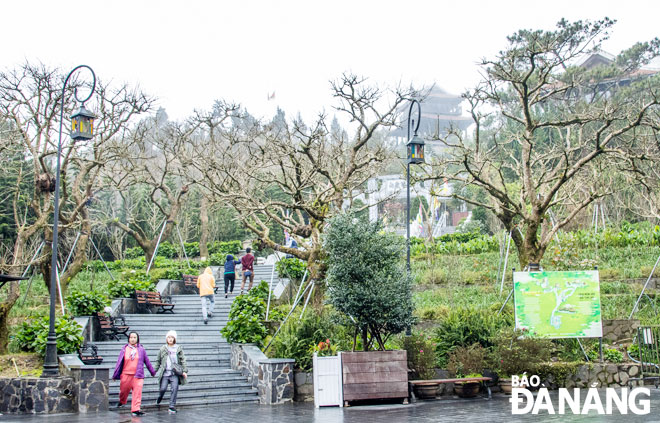 Tourists visit the Sun World Ba Na Hills Tourist Area. Photo: DINH VAN NAM