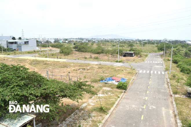 Nhiều lô đất tái định cư còn dư thừa tại khu vực xã Hòa Phước (huyện Hòa Vang) chưa bố trí cho hộ giải tỏa. Ảnh: HOÀNG HIỆP 
