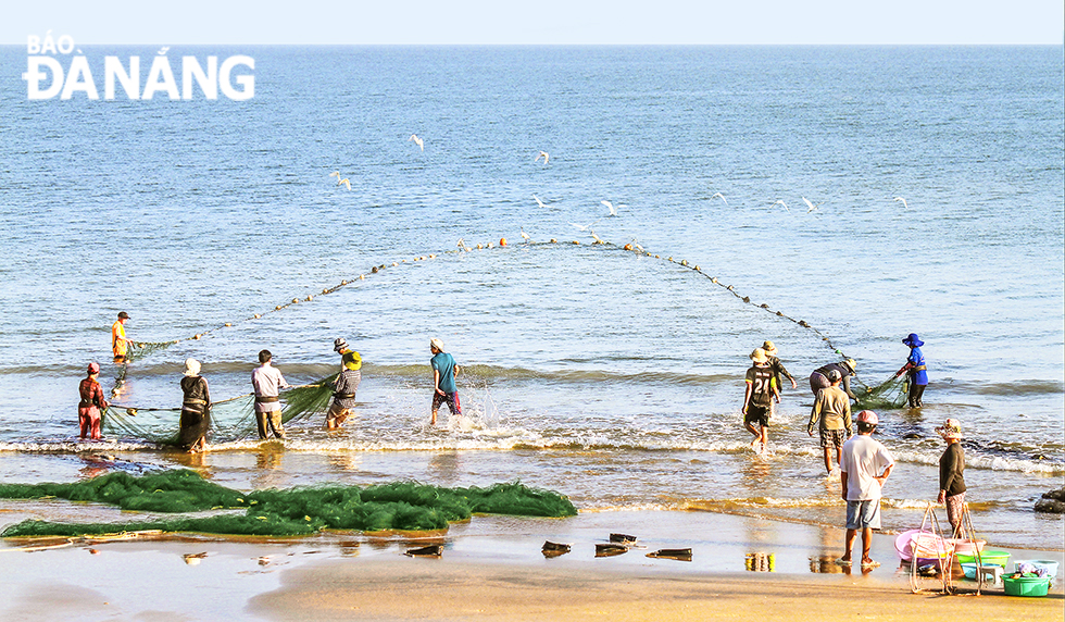  Here is an eye-catching scene of catching fish by using drag nets on the My Khe Beach (Photo taken in February, 2021)