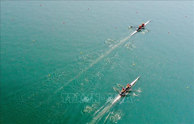 Các tay chèo Rowing xuất sắc giành vé dự Olympic Tokyo thứ 7 cho thể thao Việt Nam. Ảnh: TTXVN