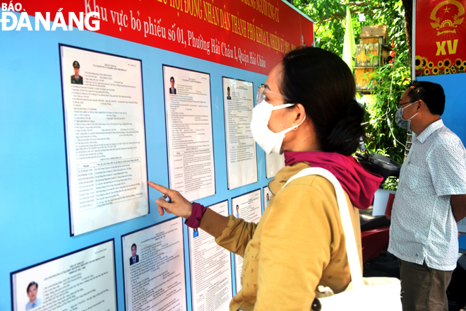 Cử tri phường Hải Châu 1 (quận Hải Châu) nghiên cứu tiểu sử ứng cử viên tại điểm bỏ phiếu số 1. Ảnh: TRỌNG HUY