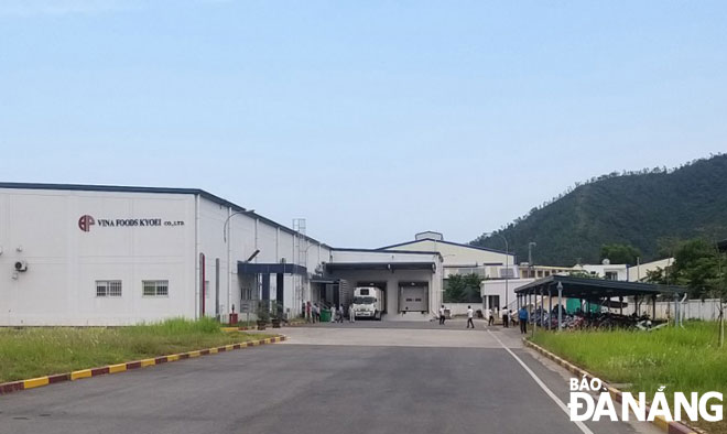 the Da Nang branch of Vina Foods Kyoei Company based in the Hoa Khanh Industrial Park, Hoa Khanh Bac Ward.