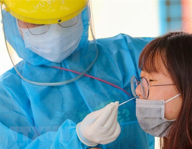 A medical worker is collecting samples for COVID-19 testing (Photo: VNA)