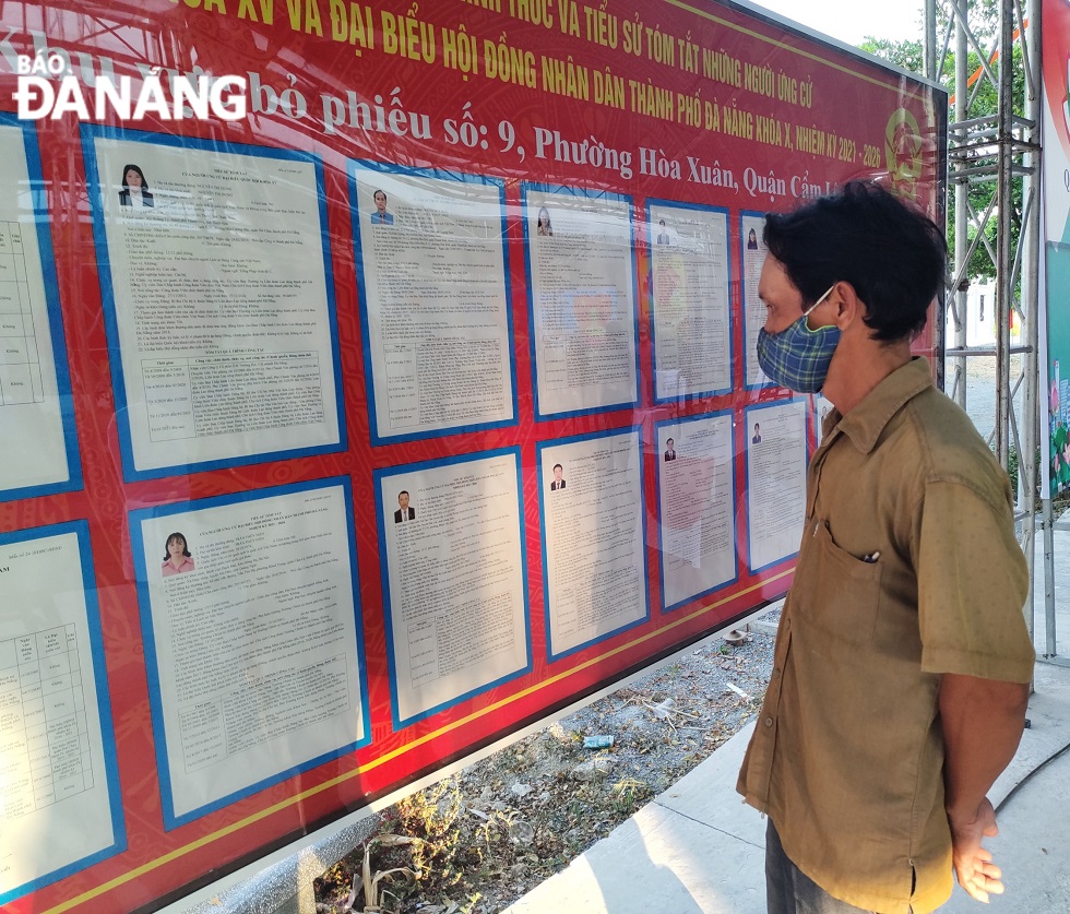  Voters in Cam Le district mulling over the list of candidates before casting ballots