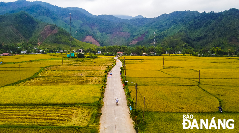 A spaciously concreted road leads to the headquarters of the Hoa Bac Commune People's Committee.