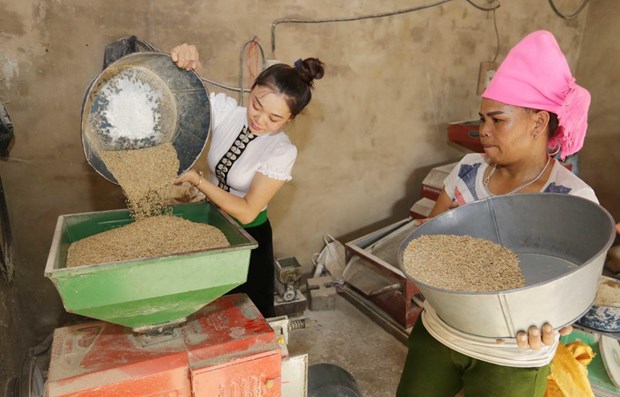 Tỷ lệ nghèo đa chiều chung của Việt Nam có xu hướng giảm