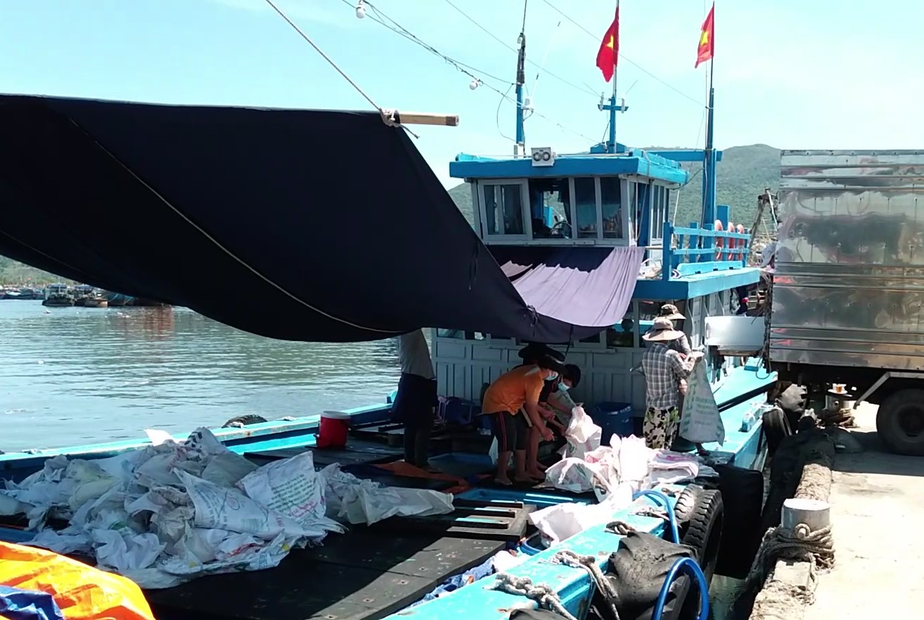 Cảng cá Thọ Quang và chợ đầu mối thủy sản Đà Nẵng hoạt động trở lại