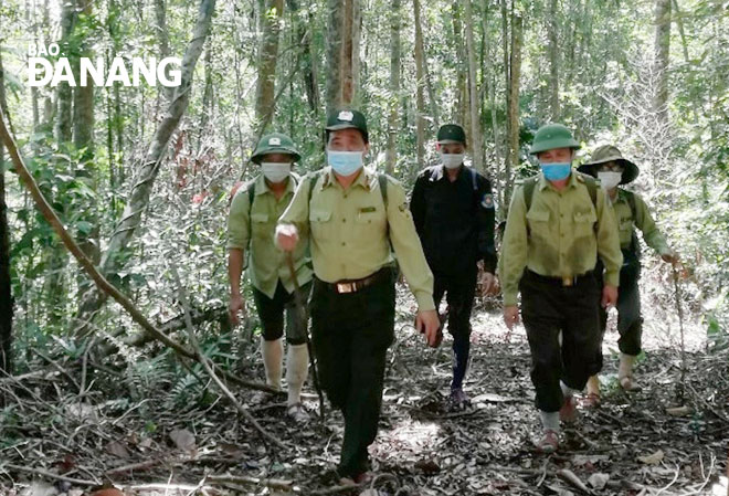 Lực lượng kiểm lâm thành phố tuần tra bảo vệ rừng, cảnh giới lửa và phòng chống cháy rừng trên tuyến đường công vụ từ rừng Cà Nhông đến rừng Tà Nô cuối tháng 5-2021. Ảnh: HOÀNG HIỆP	
