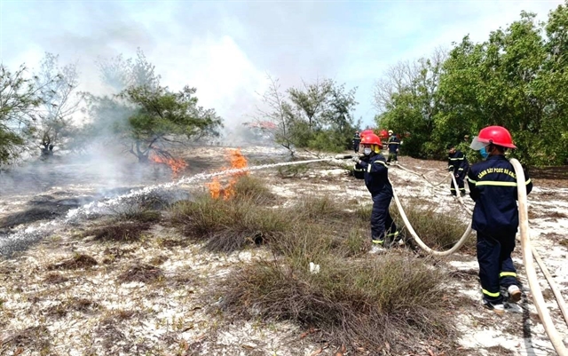 Firefighters stamp out a forest fire in Lệ Thủy District, central province of Quảng Bình on June 3. —  VNA/VNS Photo 