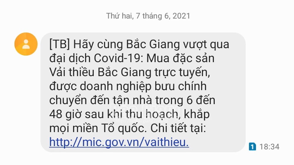 Nội dung doanh nghiệp viễn thông nhắn tin tới số thuê bao di động trên toàn quốc để tuyên truyền tiêu thụ vải thiều Bắc Giang.