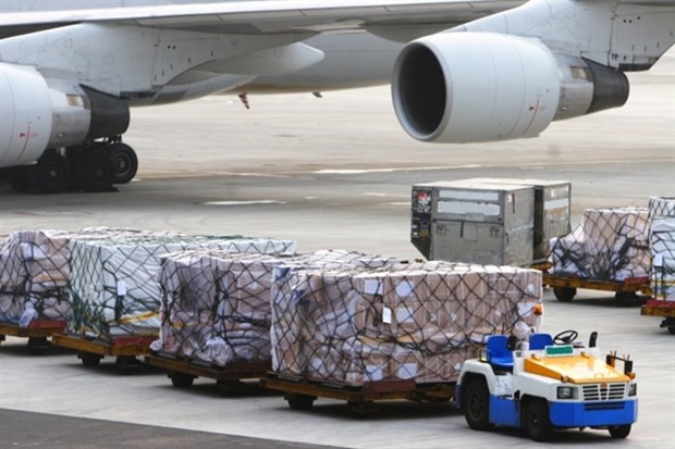 The IPP Air Cargo Joint Stock Company wants to set up the first cargo airline in Viet Nam.(Photo logistics.gov.vn)