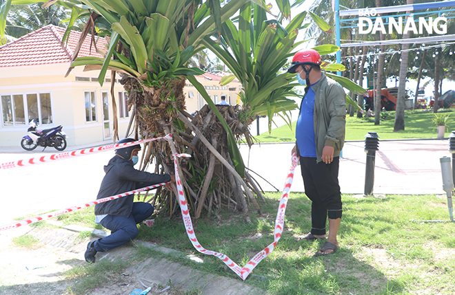 Staff of the Management Board of the Son Tra Peninsula and Da Nang tourist beaches install ropes around the beaches.  Photo: QUYNH TRANG