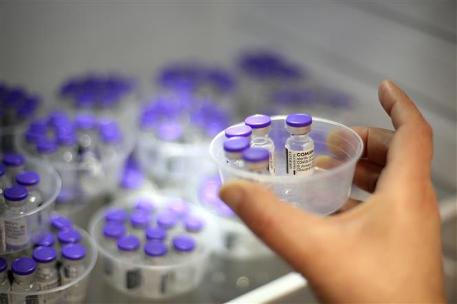 Vaccine phòng Covid-19 của Pfizer-BioNTech. Ảnh: AFP/TTXVN