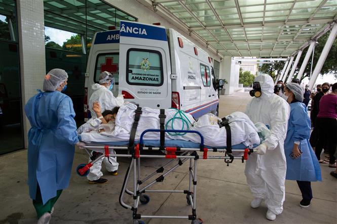 Nhân viên y tế điều trị chuyển bệnh nhân nhiễm Covid-19 tới bệnh viện ở Manaus, Brazil. Ảnh: AFP/TTXVN