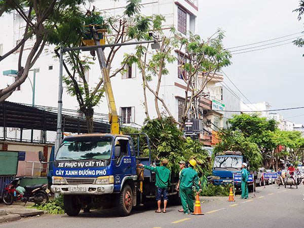 Triển khai cắt tỉa cây xanh để phòng, chống bão năm 2021