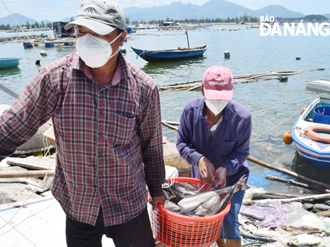 Hỗ trợ ngư dân tiêu thụ hải sản tươi sống