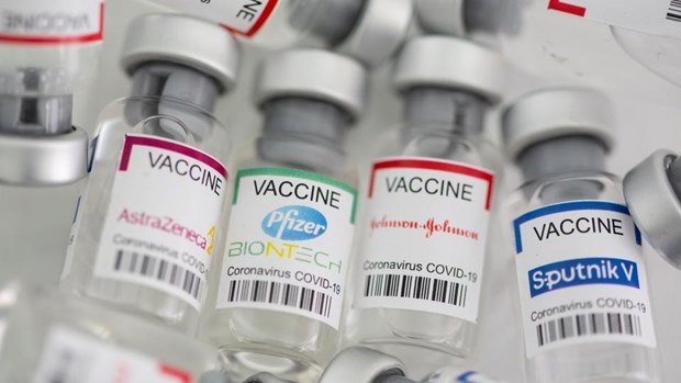 COVID-19 vaccines (Source: AFP)