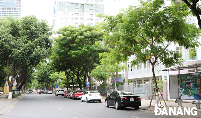  Da Nang always aims to build an ecological urban area existing in harmony with the natural environment. Here is a section of Tran Phu downtown street, which has a high percentage of tree coverage.