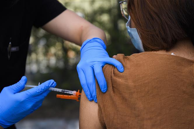 Nhân viên y tế tiêm vaccine ngừa Covid-19 của hãng dược phẩm Pfizer tại Los Angeles, California, Mỹ. Ảnh: AFP/TTXVN