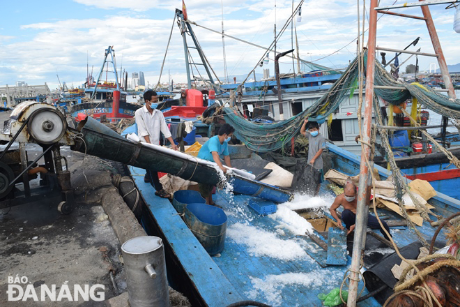 Các tàu cá tiếp nhận đá lạnh, hàng hóa để khẩn trương rời cảng cá Thọ Quang ra khơi. Ảnh: HOÀNG HIỆP
