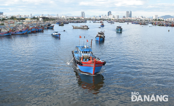 Many fishing boats urgently left Tho Quang fishing wharf on Monday morning. Photo: HOANG HIEP