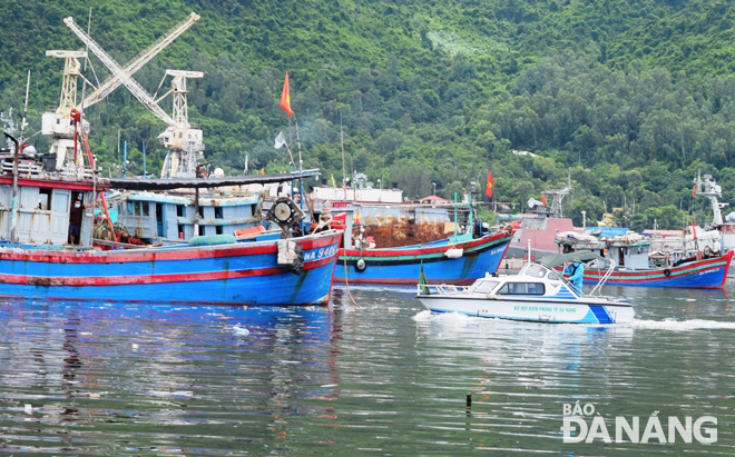 The Son Tra Border Guard Station are seen being onboard canoes to remind the owner of fishing boats from other localities anchoring on the Man Quang Bay to comply with the city’s regulations. Photo: HOANG HIEP