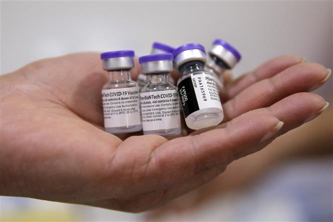 Vaccine ngừa COVID-19 của hãng Pfizer-BioNTech. Ảnh: AFP/TTXVN