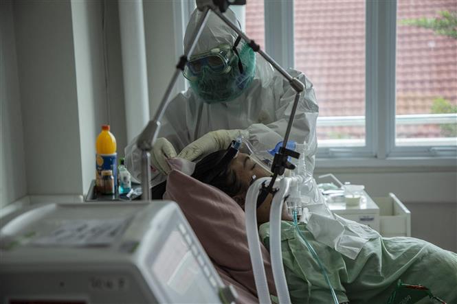 Nhân viên y tế điều trị cho bệnh nhân COVID-19 tại bệnh viện ở Bogor, Indonesia. Ảnh: AFP/ TTXVN