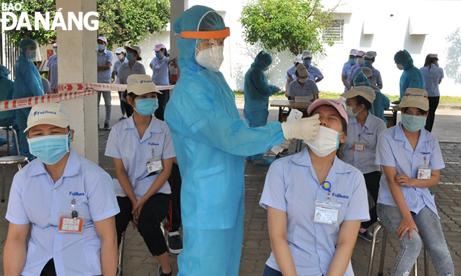   Workers at Cam Le District-based Hoa Cam IP have their nasal swab samples taken for COVID-19 testing. Photo: TRIEU TUNG  