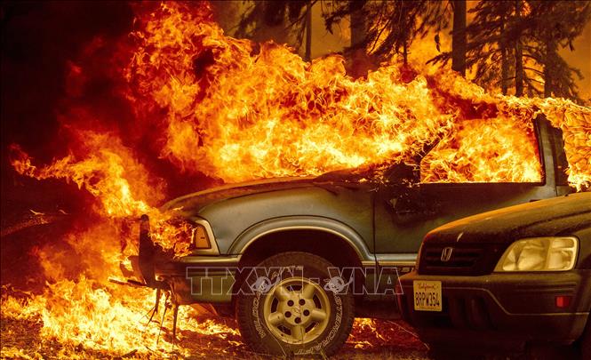 Khói lửa cháy rừng bốc ngùn ngụt tại Greenville, California (Mỹ) ngày 5/8/2021. Ảnh: AFP/TTXVN