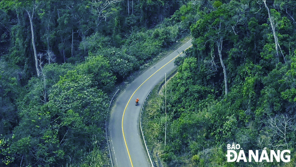 Visitors can choose to conquer the K50 Waterfall by trekking about 25 km from An Toan Commune, An Lao District, Binh Dinh Province. It is highly recommended to hire locals for the approach to this site.