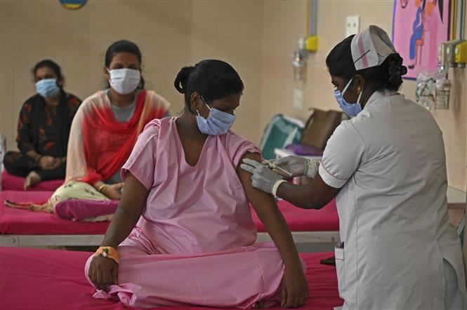 Nhân viên y tế tiêm vaccine ngừa COVID-19 cho phụ nữ mang thai tại Chennai, Ấn Độ. Ảnh: AFP/TTXVN