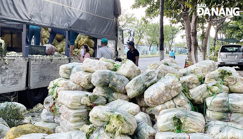 Root, tuber and leaf vegetables donated by businesses are transported to Nai Hien Dong Ward, Son Tra District for the delivery to all locals. Photo: NHAT HA