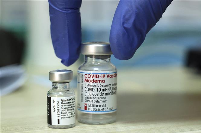 Vaccine ngừa COVID-19 của Pfizer-BioNTech và Moderna. Ảnh: AFP/TTXVN