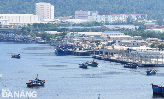 Một số tàu cá cập, rời cảng cá Thọ Quang vào sáng 26-8. (Ảnh do người dân cung cấp, chụp vào lúc 9 giờ 22 phút ngày 26-8).