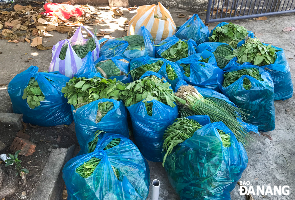   Vegetables are package into big bags for the delivery to customer.