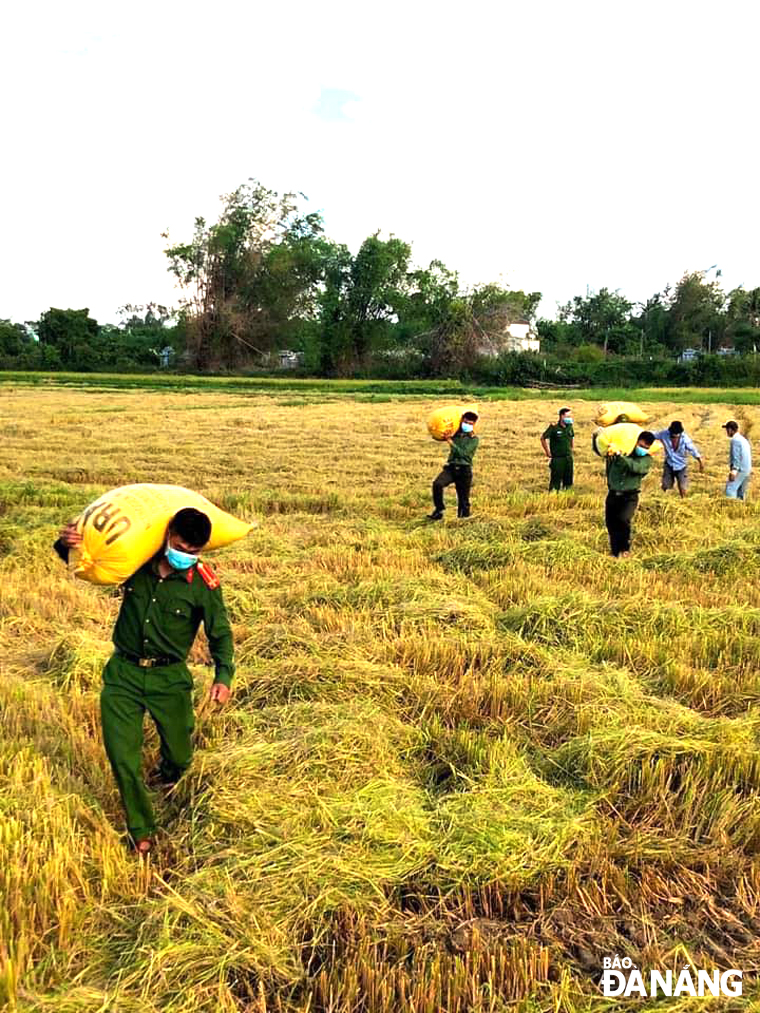 Hoa Phuoc Commune’s police officers help local people harvest rice and bring back to their home.